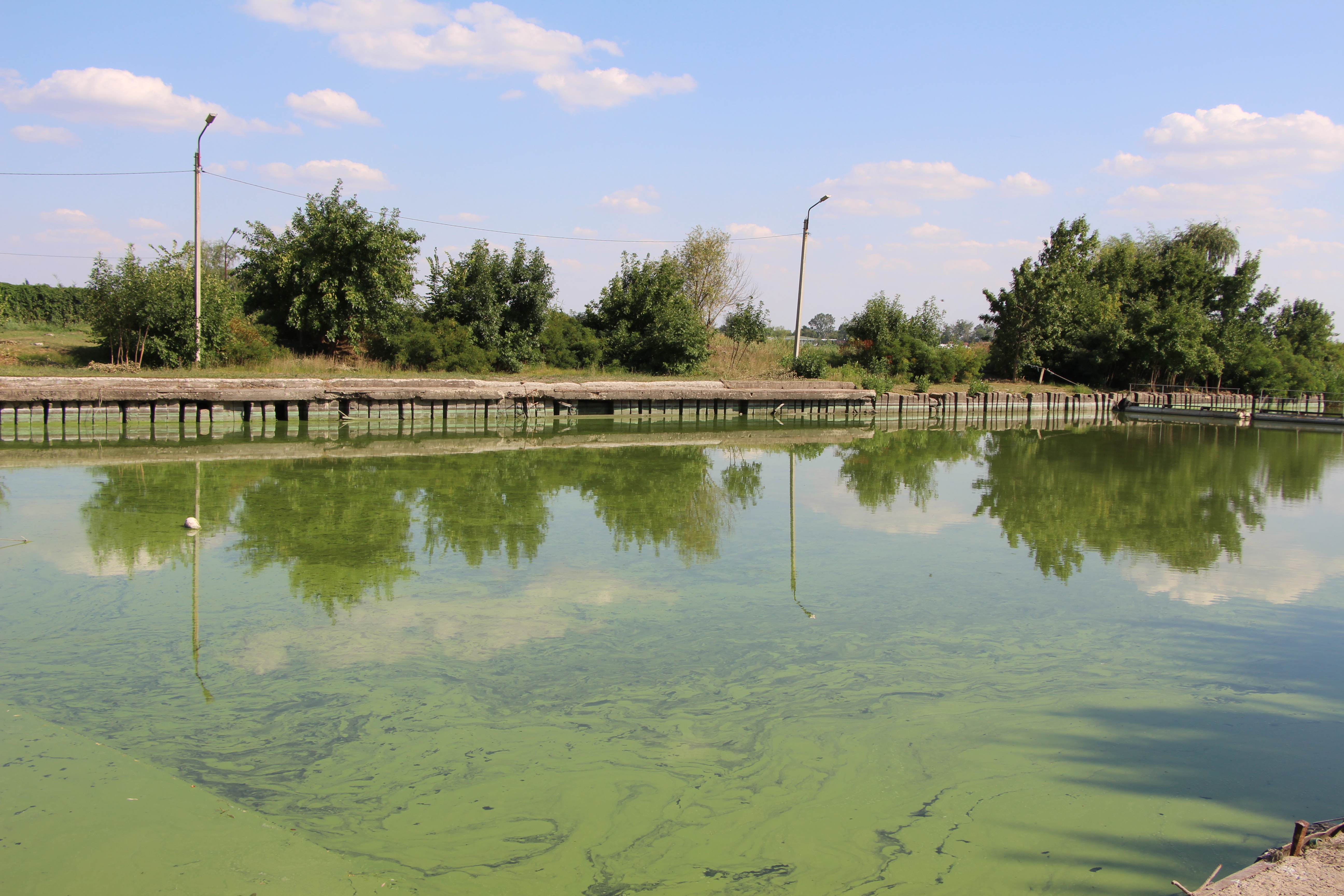 Don water. Водозабор Донецк Ростовской области.